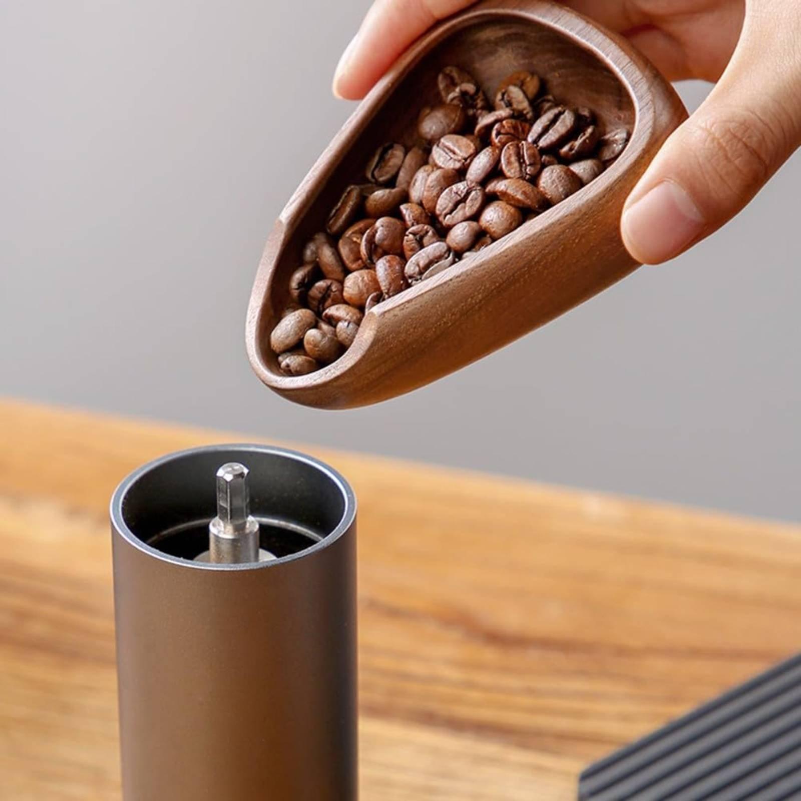 Bandeja de Medição de Café em  - Coffee Bean And Tea Leaf avaliação e preço